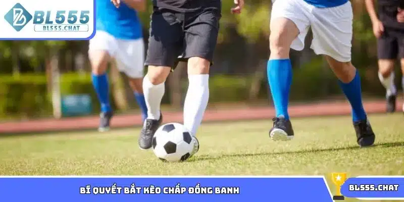 Bí quyết bắt kèo chấp đồng banh từ cao thủ BL555